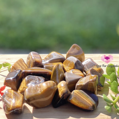 Tigers Eye Tumbled (South Africa) Stones