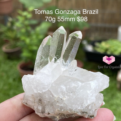 Tomas Gonzaga Clear Quartz Cluster (Brazil) 70G 55Mm Caves Geodes And Clusters