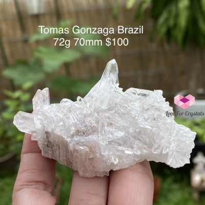 Tomas Gonzaga Clear Quartz Cluster (Brazil) 72G 70Mm Caves Geodes And Clusters