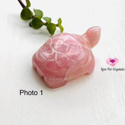 Turtles Hand Carved Photo 1 (Rose Quartz)