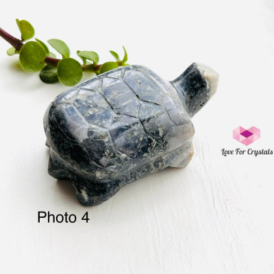 Turtles Hand Carved Photo 4 (Grape Agate)
