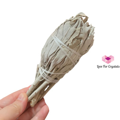 White Sage bundle mini drumstick 4” (California) Incense