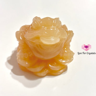 Yellow Jade Money Frog (Feng Shui) 60-70Mm (Random Piece)